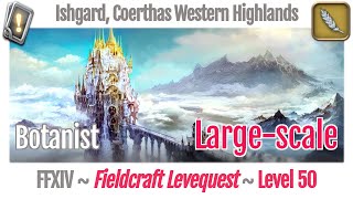 FFXIV Botanist Leves Level 50 Largescale  Ishgard Coerthas Western Highlands  Heavensward [upl. by Lillywhite928]