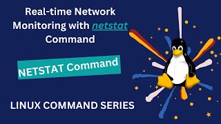 Realtime Network Monitoring with netstat Command netsat command devopsworld [upl. by Ecnav969]