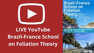 BrazilFrance School on Foliation Theory  Course Foliations in model theory  01 [upl. by Arela754]