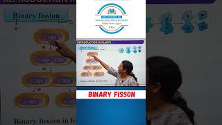 Biology  Binary Fisson biology biologyshorts boardexam2025 [upl. by Lucky]