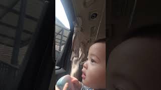 Baby Cadden seneng naik mobil shortsvideo [upl. by Hoi]