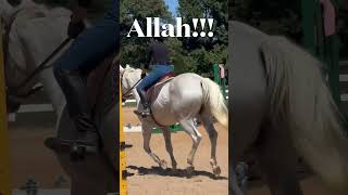 Riding Lesson  Fail 🤯😬🐎🥹 [upl. by Aneert]