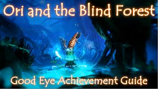 Ori and the Blind Forest  Good Eye Achievement Guide Lost Corridor in the Misty Woods [upl. by Pulchia357]