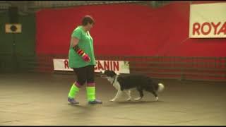 2012 September  Canine Freestyle GB  Naomi Evans SH 2 [upl. by Brittany]