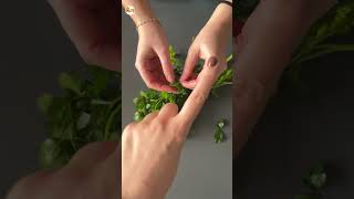 Astuce pour effeuiller ses herbes aromatiques super facilement  🌿 hack foodhack recettefacile [upl. by Arorua]