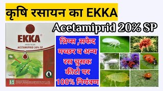 Acetamiprid 20SP  Ekka Insecticide कृषि रसायन का इक्का 🌾Whitefly थ्रिप्स व रस चूसक कीटो के लिए [upl. by Colly]