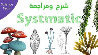 Botany Systematic Lab  Archegonium  شرح الأرشجونيات [upl. by Eninej326]