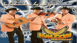 TRIO HALCON HUASTECO CD [upl. by Ruffina]