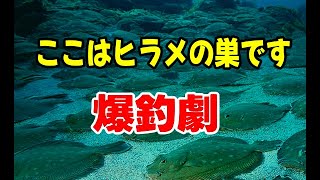 【北海道釣り】驚きの爆釣劇！ [upl. by Camroc]