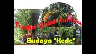 Tradisi Adat Kede  Sumba Barat Daya [upl. by Aidil]