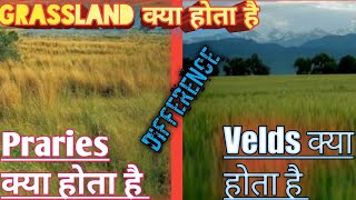 Difference between Prairies and Velds  What is Grassland [upl. by Williamson]