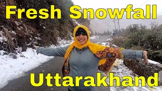 Fresh Snowfall in Uttarakhand Chakrata Mussoorie [upl. by Ree]