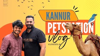 Explore a day in kannur 🦩 Kannur Fort  Pet station kannur  vlog [upl. by Damick]