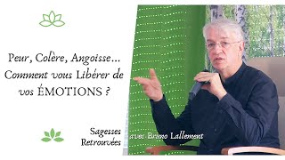 Peur Colère Angoisse  Comment vous Libérer de vos Émotions [upl. by Yra]