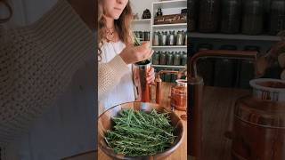 will it essential oil testing out my new still with rosemary [upl. by Anidal]