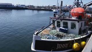 Snow crab fishing  Shippagan NB  part 1 [upl. by Labinnah]