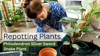 REPOT WITH ME Repotting Houseplants At Home [upl. by Amer]