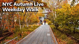 LIVE  New York City  Autumn Weekday Walk  nyc [upl. by Refinne]