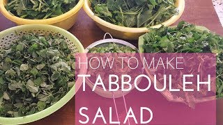 How to make Tabbouleh in few minutes Arabic Recipe 14 [upl. by Anerbes]