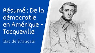 De la démocratie en Amérique dAlexis de Tocqueville Résumé [upl. by Anitnahs]