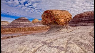 Petrified Forest National Park and the Painted Desert of NE Arizona [upl. by Ashly397]