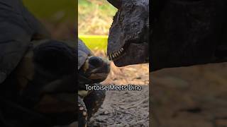 Live Tortoise Meets A Dinosaur Funny funny shorts short new like trending viralvideo [upl. by Ardnuhsed800]