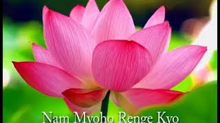 Gongyo with Lyrics and Daimoku Nam myoho renge kyo [upl. by Esau]