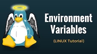 Environment Variables  Linux Tutorial 11 [upl. by Home]