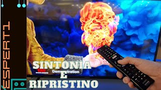 Come sintonizzare e ripristinare una TV Sony [upl. by Sivraj975]