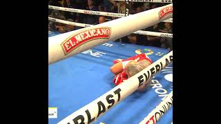 Diego Pacheco Lands Brutal Body Shot To KO Sulecki In 6th ROund [upl. by Inot242]