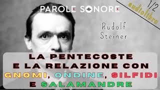 Rudolf Steiner AUDIOLIBRO 12 LA PENTECOSTE E LA RELAZIONE CON GNOMI ONDINE SILFIDI E SALAMANDRE [upl. by Sedecrem772]