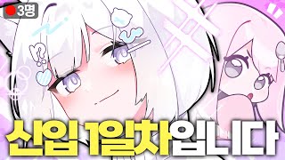 방송 치트키 알려드림ㅋㅋ 3일간 부캐로 시청자 수 내기하는 컨텐츠 [upl. by Enttirb]