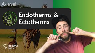 Endotherms amp Ectotherms  A Level Biology  OCR [upl. by Inava]