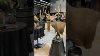 Kansas Taxidermy competition 2024 [upl. by Stillmann410]