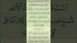 آيات من القرآن الكريم 💞 سورة الكهف 💞 الآية 45 [upl. by Nnaycart450]