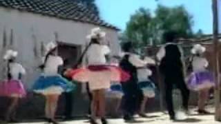 SAVIA ANDINA  OH COCHABAMBA KOCHALITA  PALOMITAYcueca [upl. by Eilitan]