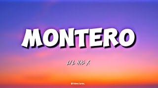 MONTERO  LIL NAS X [upl. by Llehcal]