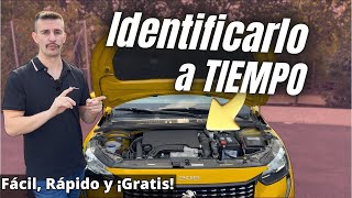 🚗 Motor 12 PURETECH ❌ Cómo Saber si se Va ROMPER y Cuáles NO se Rompen NUNCA [upl. by Lebiram]