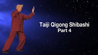 Taiji Qigong Shibashi  Section 4  Simon Blow Qigong  Art of Life [upl. by Jaret]