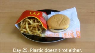 The 31 day McDonalds burger experiment [upl. by Nithsa202]