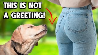 DOGS SNIFFING BUTTS The TRUE and Strange Reason Behind Dogs Behavior 🐶 [upl. by Serena32]