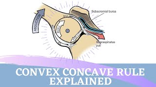 CONVEXCONCAVE RULE  Simple Animated Explanation [upl. by Evanthe]