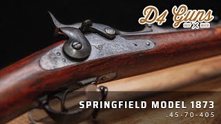 The Springfield 1873  The US Armys First Military Rifle [upl. by Gaye560]