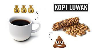 Kopi LuwakCivet Poop Coffee Disgusting or Delightful [upl. by Roseanna55]