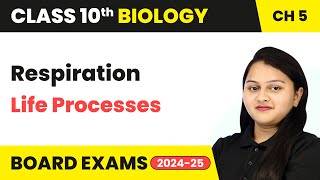 Respiration  Life Processes  Class 10 Biology Chapter 5  CBSE 202425 [upl. by Haisej]