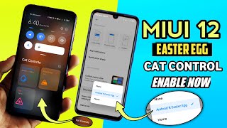 MIUI 12 New Cat Controls Feature Enable Now Xiaomi And Poco Device  MIUI 12 Easter Egg [upl. by Mosa]