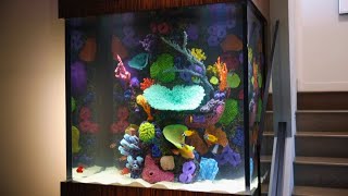 This Fish Tank Is Ludacris  Tanked [upl. by Danete]