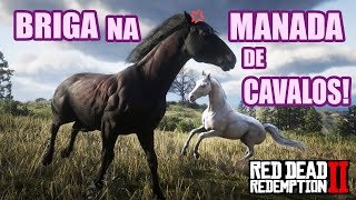 BRIGA NA MANADA roleplay Historia parte 5 RDR2 [upl. by Medlin426]