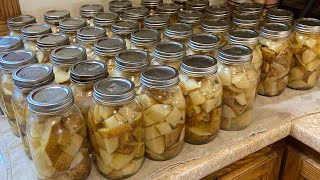 Canning potatoes [upl. by Braeunig940]