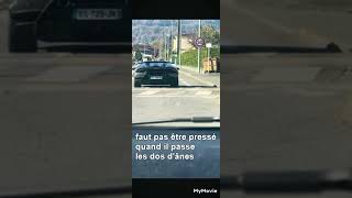 une voiture de sport de luxe passant les dos dânes [upl. by Annitsirhc]